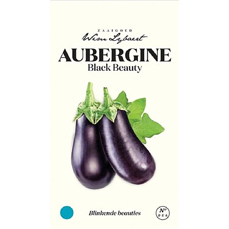 Aubergine Black Beauty - Wim Lybaert Aussaat