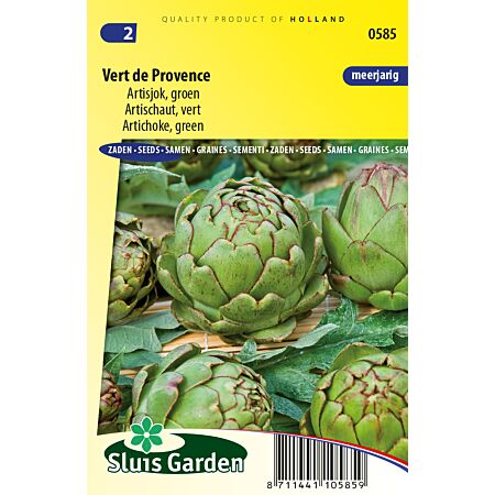 Artichaut Vert de Provence - Légumes ou plantes à fruit