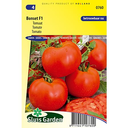 Bonset-Tomate F1 - Gemüse oder Fruchtpflanzen