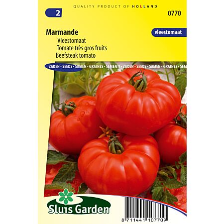 Beefsteak-Tomate Marmande - Gemüse oder Fruchtpflanzen