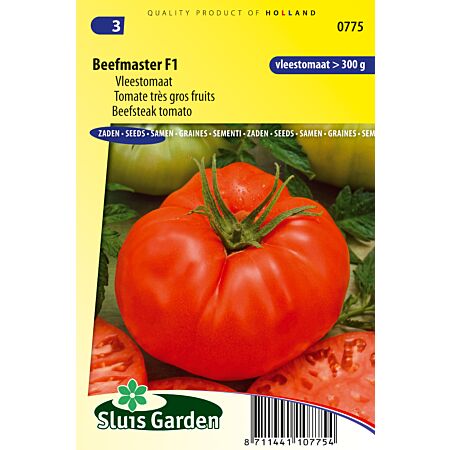 Beefsteak-Tomate Beefmaster VFN F1 - Gemüse oder Fruchtpflanzen