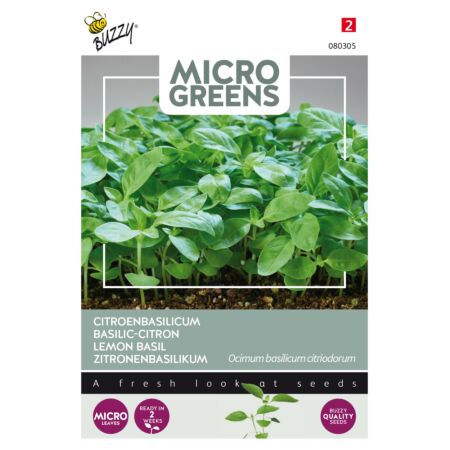 Buzzy Microgreens, Citroenbasilicum