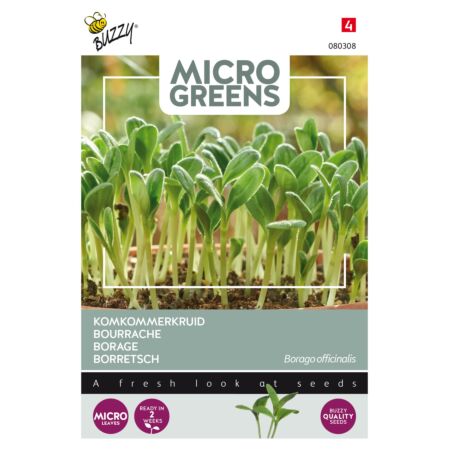 Buzzy Microgreens, Bourrache