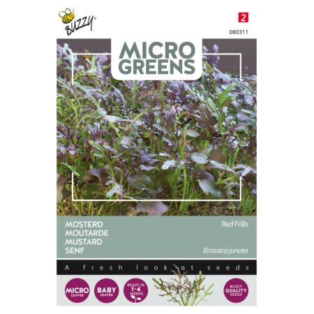 Buzzy Microgreens, Blattsenf Red Frills