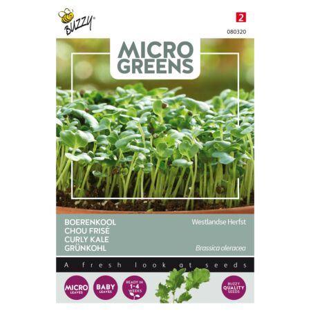 Buzzy Microgreens, Boerenkool Westlandse Herfst