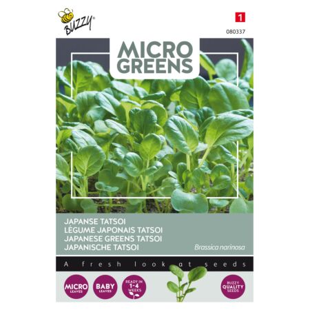 Buzzy Microgreens, Légume japonais Tatsoi