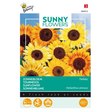 Buzzy Sunny Flowers, Zonnebloem Fantasy