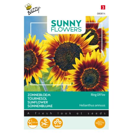Buzzy Sunny Flowers, Tournesol Ring of Fire