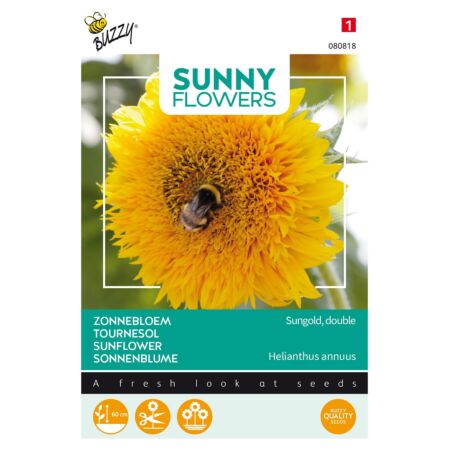 Buzzy Sunny Flowers, lage Zonnebloem Sungold dubbelbloemig