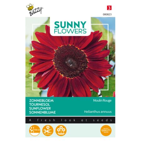 Buzzy Sunny Flowers, Tournesol Moulin Rouge