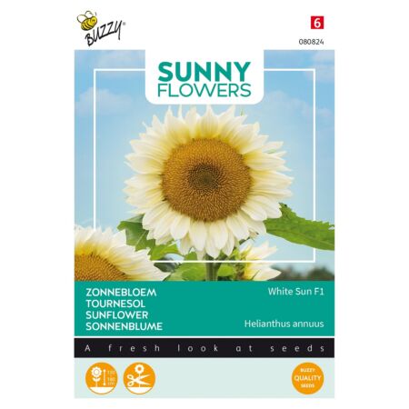 Buzzy Sunny Flowers, Zonnebloem White Sun F1