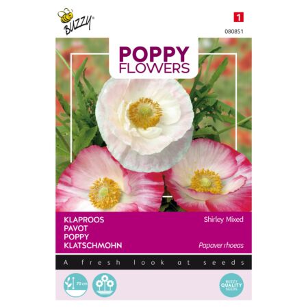 Buzzy Poppy Flowers, Klaproos Gemengd