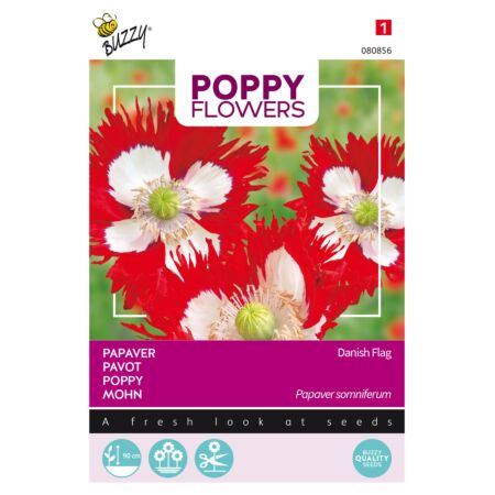 Buzzy Poppy Flowers Pavot Drapeau Danois