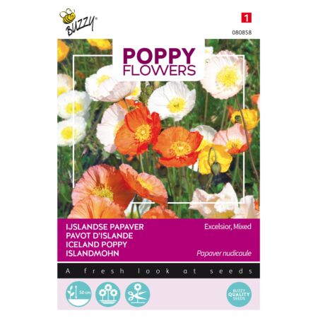 Buzzy Poppy Flowers Pavot d'Islande