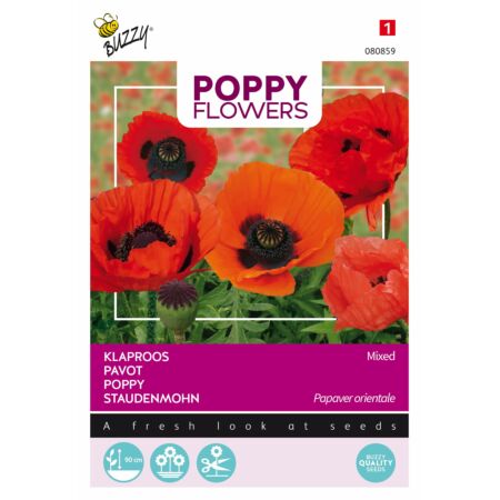 Buzzy Poppy Flowers Pavot d'Orient varié