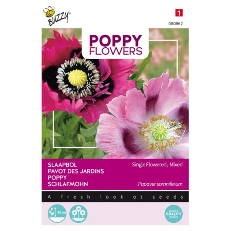 Buzzy Poppy Flowers Coquelicot Pavot Somnifère