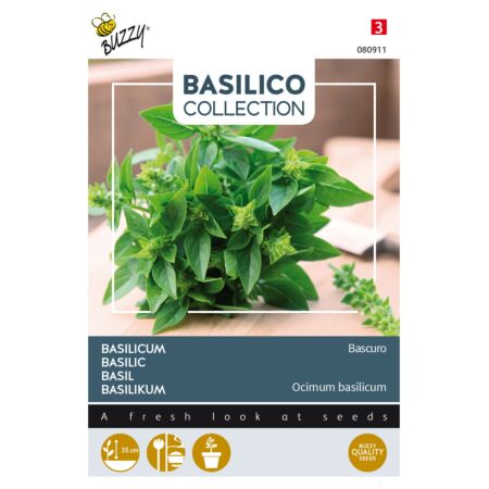 Buzzy Basilic Bascuro