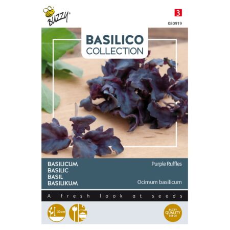 Buzzy Basilicum Purple Ruffles