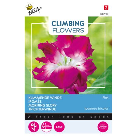 Buzzy Climbing Flowers, Ipomoea Dubbel Rose