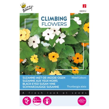 Buzzy Climbing Flowers Thunbergia, Suzanne-met-mooie-ogen