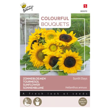 Buzzy Colourful Bouquets, Sunlit Days, zonnebloem
