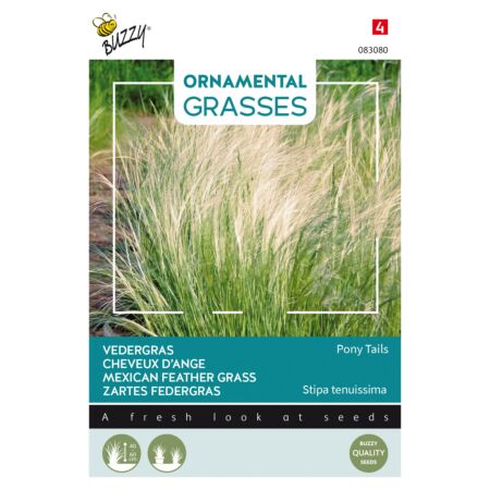 Buzzy Ornamental Grasses, Zartes Federgras 'Pony Tails'