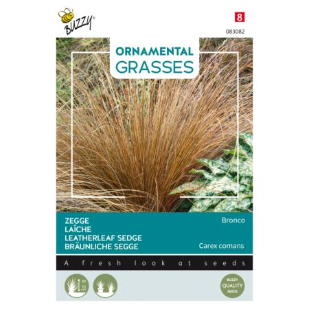 Buzzy Ornamental Grasses, Bräunliche Segge 'Bronco'