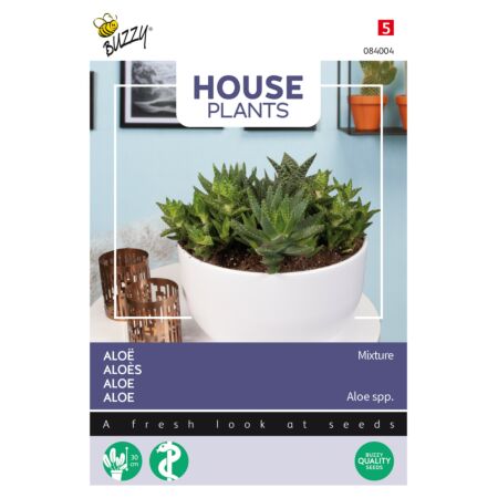 Buzzy House Plants Aloe Mischung