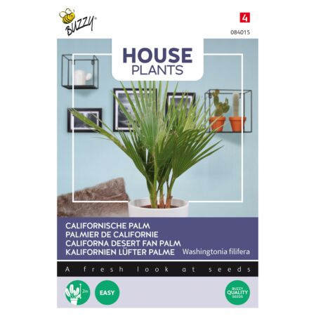 Buzzy House Plants Californian palm