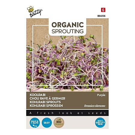 Buzzy Organic Sprouting Koolrabi blauwpaars (BIO)