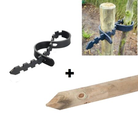1 Gartenpfahl + 1 Baumbinder - Stärken Sie Ihre Jung- und Obstbäume mit unserem Gartenpfahl- und Baumbinder-Set