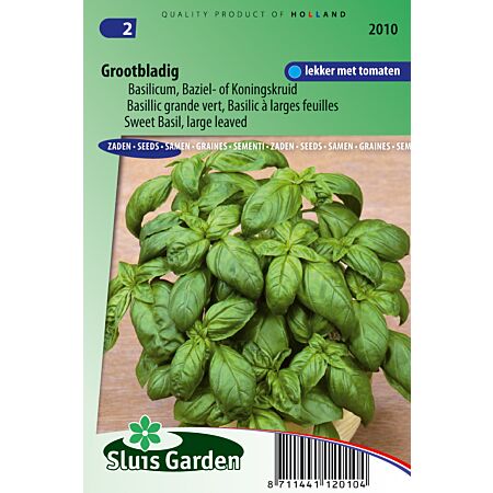 Basilic Grande vert - Les Herbes aromatiques