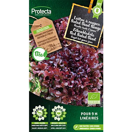 Eikenbladsla Rode Salad Bowl BIO-01 - Protecta Traditionele Reproduceerbare Autenthentieke Zaden