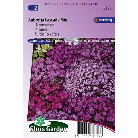 Aubrièti Cascade Mix - Samen Mehrjähriger Blumen