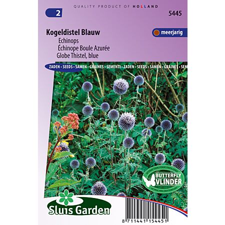 Echinope bal azuurée blauw - zaaigoed voor bloemen