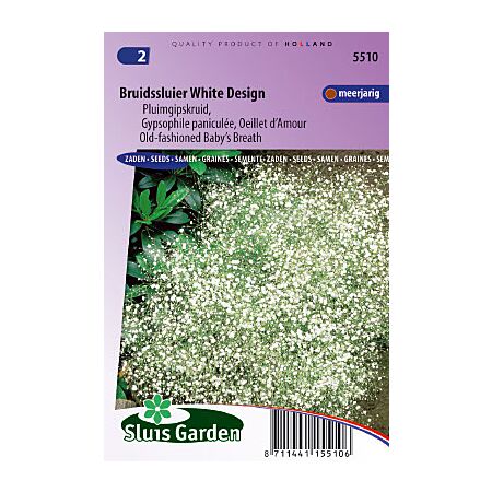 Bruidssluier - Gypsophila paniculata - White Design zaad bloemzaden