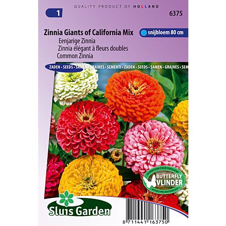 Elegante Zinnie mit gefüllten Blüten Giant of California Mix - Samen Von Einjährigen Blumen