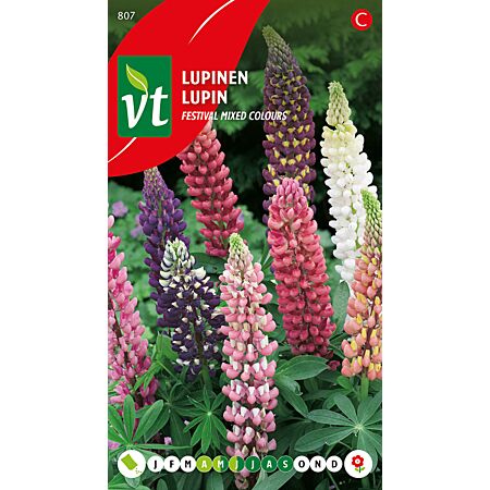 Lupine Mixed Colours