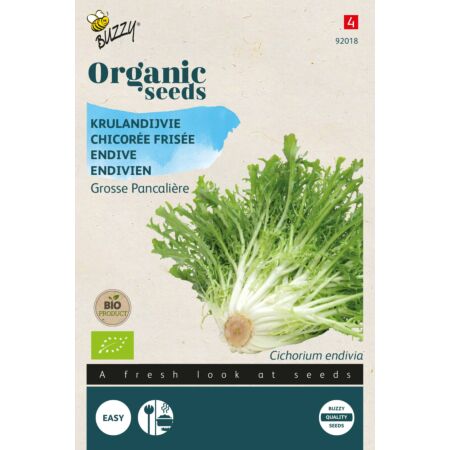 Buzzy Organic Krulandijvie Grosse Pancalière (BIO)