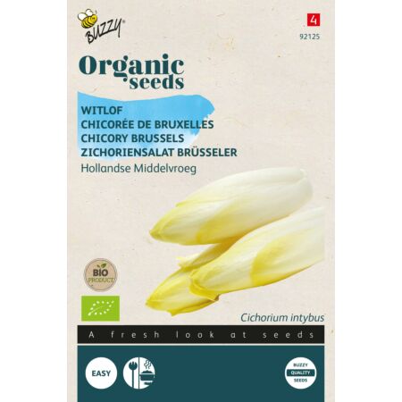 Buzzy Organic Witlof Hollandse Middelvroeg (BIO)