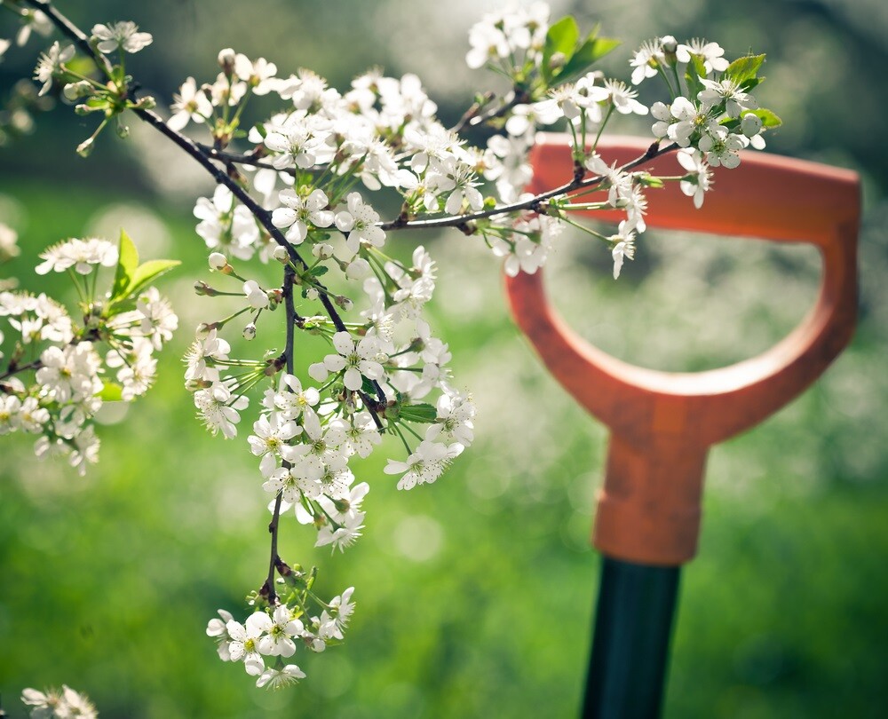 Willkommen im Frühling: Zeit, Ihren Garten zum Strahlen zu Bringen!